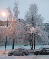 Сказочно прекрасная снежная напасть