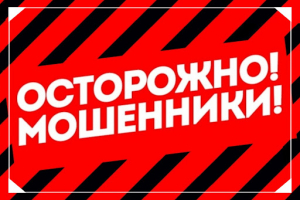 Более 33 миллионов рублей за первую неделю июля перевели мошенникам жители Владимирской области