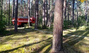 Обрыв на ЛЭП вызвал пожар в районе Забелина